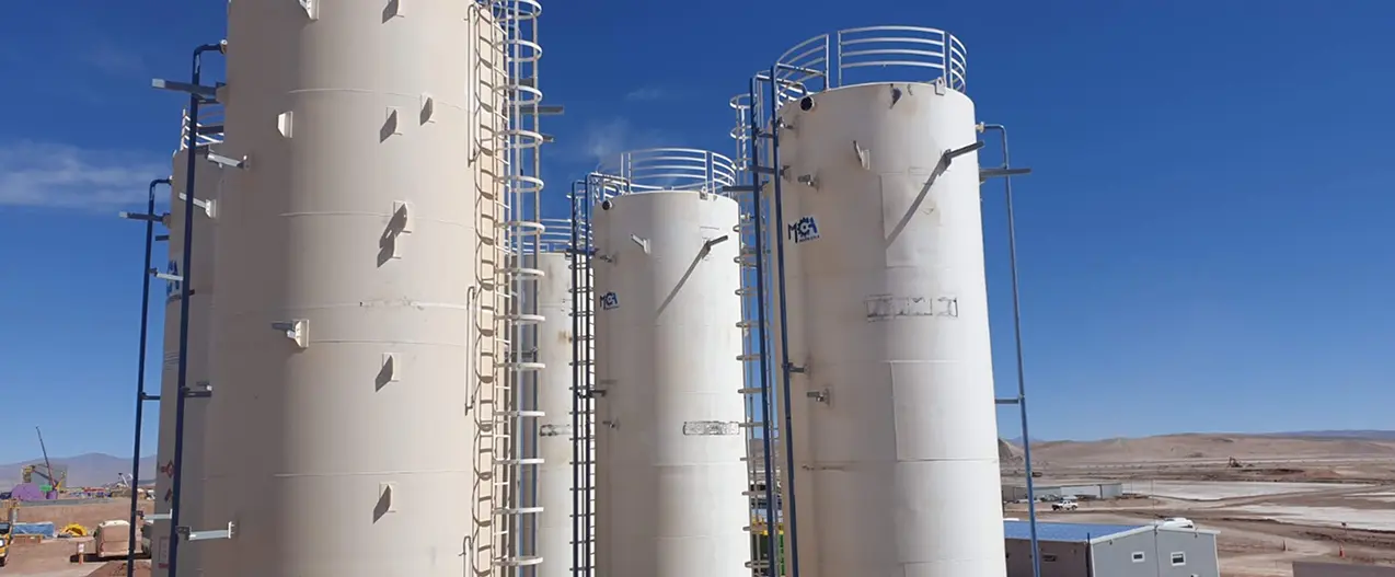 WhatsApp Image 2025-04-11 at 08.40.01 (2) 1